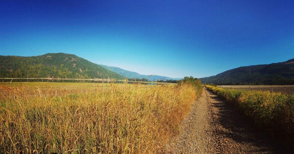 Shuswap North Okanagan Rail Trail Construction Moving Ahead Following ALC Decision Shuswap North Okanagan Rail Trail Construction Moving Ahead Following ALC Decision